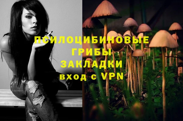 Альфа ПВП Балахна