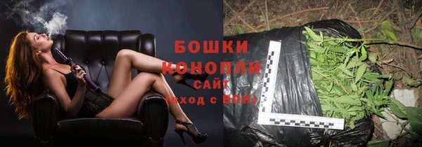 PSILOCYBIN Баксан